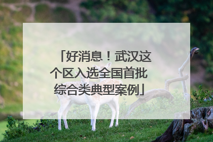 好消息！武汉这个区入选全国首批综合类典型案例