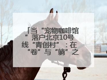 当“宠物咖啡馆”落户北京10号线“青创村”：在“卷”与“躺”之间，他们找到了第三种生活公式