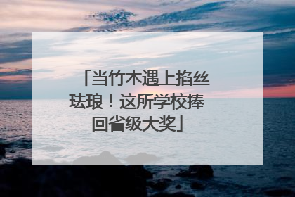 当竹木遇上掐丝珐琅！这所学校捧回省级大奖