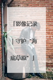 影像记录｜守护“海底草原”