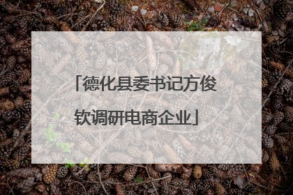 德化县委书记方俊钦调研电商企业