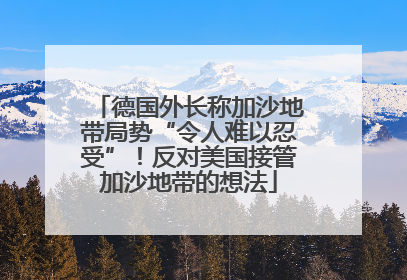 德国外长称加沙地带局势“令人难以忍受”！反对美国接管加沙地带的想法