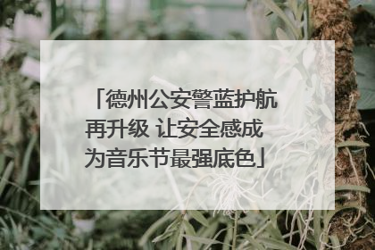 德州公安警蓝护航再升级 让安全感成为音乐节最强底色