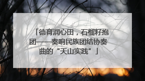 德育润心田，石榴籽抱团——奏响民族团结协奏曲的“天山实践”