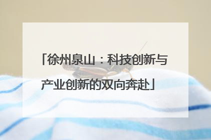 徐州泉山：科技创新与产业创新的双向奔赴