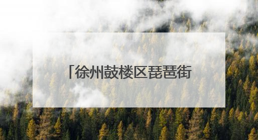徐州鼓楼区琵琶街道：医保政策进社区 惠民服务零距离