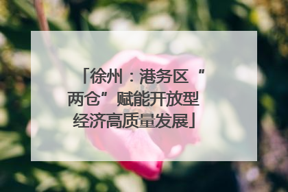 徐州：港务区“两仓”赋能开放型经济高质量发展