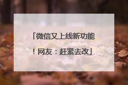 微信又上线新功能！网友：赶紧去改