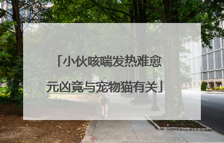 小伙咳喘发热难愈 元凶竟与宠物猫有关