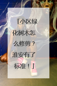 小区绿化树木怎么修剪？淮安有了标准！