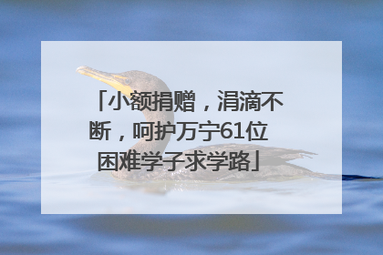 小额捐赠，涓滴不断，呵护万宁61位困难学子求学路