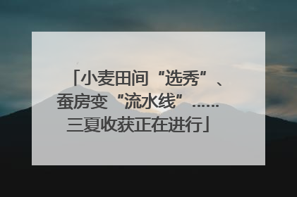 小麦田间“选秀”、蚕房变“流水线”……三夏收获正在进行