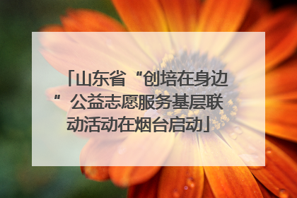 山东省“创培在身边”公益志愿服务基层联动活动在烟台启动