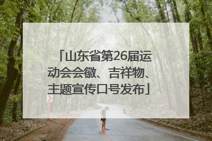山东省第26届运动会会徽、吉祥物、主题宣传口号发布