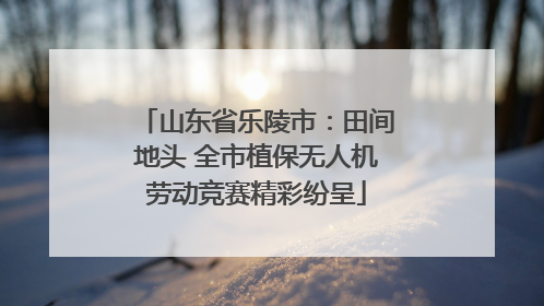 山东省乐陵市：田间地头 全市植保无人机劳动竞赛精彩纷呈