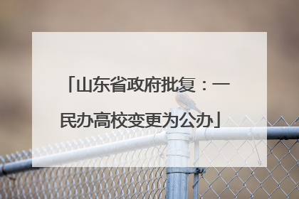 山东省政府批复：一民办高校变更为公办