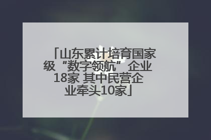 山东累计培育国家级“数字领航”企业18家 其中民营企业牵头10家