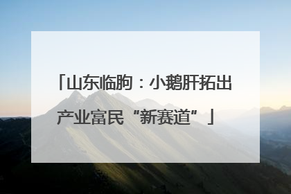山东临朐：小鹅肝拓出产业富民“新赛道”