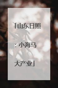 山东日照：小海马 大产业