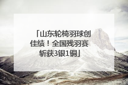 山东轮椅羽球创佳绩！全国残羽赛斩获3银1铜