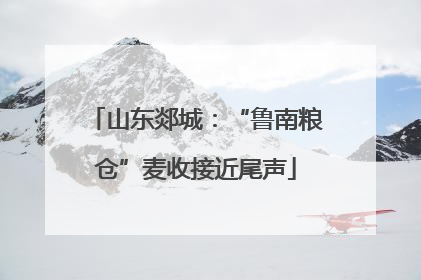 山东郯城：“鲁南粮仓”麦收接近尾声