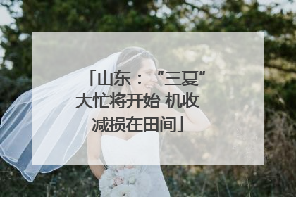 山东：“三夏”大忙将开始 机收减损在田间