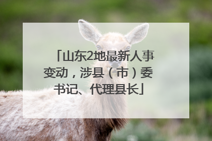 山东2地最新人事变动，涉县（市）委书记、代理县长