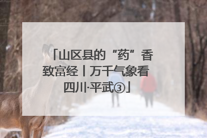 山区县的“药”香致富经丨万千气象看四川·平武③