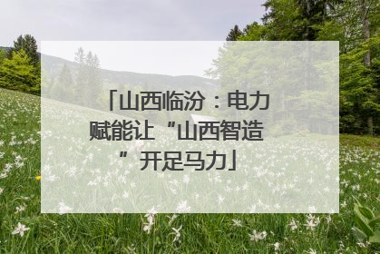 山西临汾：电力赋能让“山西智造”开足马力