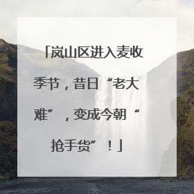 岚山区进入麦收季节，昔日“老大难”，变成今朝“抢手货”！