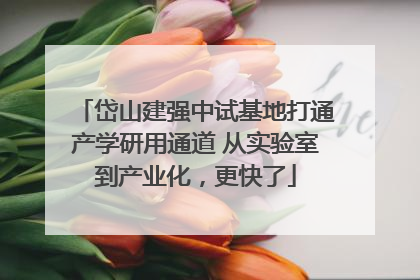 岱山建强中试基地打通产学研用通道 从实验室到产业化，更快了