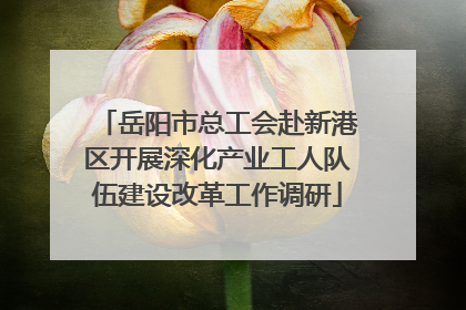 岳阳市总工会赴新港区开展深化产业工人队伍建设改革工作调研