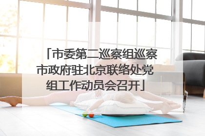 市委第二巡察组巡察市政府驻北京联络处党组工作动员会召开