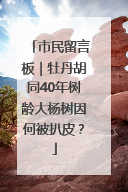 市民留言板｜牡丹胡同40年树龄大杨树因何被扒皮？