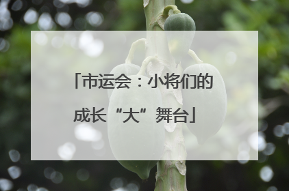 市运会：小将们的成长“大”舞台