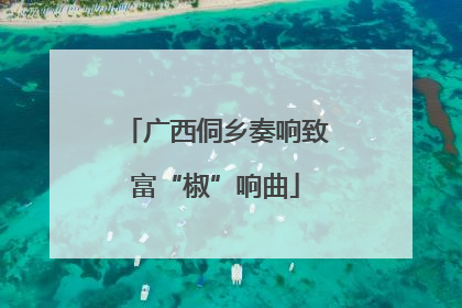 广西侗乡奏响致富“椒”响曲