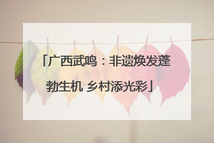 广西武鸣：非遗焕发蓬勃生机 乡村添光彩