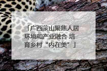 广西蒙山聚焦人居环境和产业融合 培育乡村“内在美”