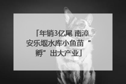 年销3亿尾 南漳安乐堰水库小鱼苗“孵”出大产业