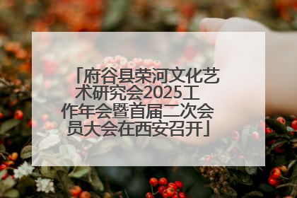 府谷县荣河文化艺术研究会2025工作年会暨首届二次会员大会在西安召开