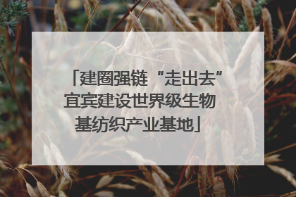 建圈强链“走出去” 宜宾建设世界级生物基纺织产业基地