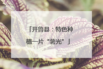 开鲁县：特色种植一片“薯光”