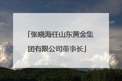 张晓海任山东黄金集团有限公司董事长