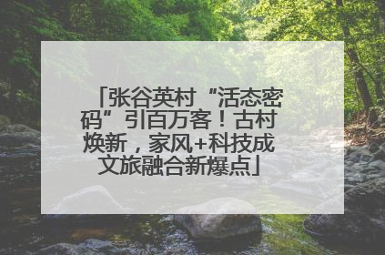 张谷英村“活态密码”引百万客！古村焕新，家风+科技成文旅融合新爆点