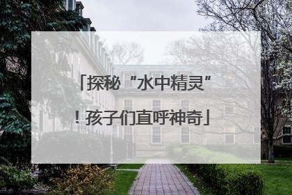 探秘“水中精灵”！孩子们直呼神奇