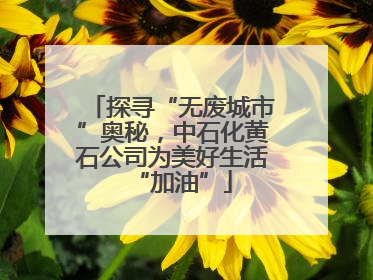 探寻“无废城市”奥秘，中石化黄石公司为美好生活“加油”