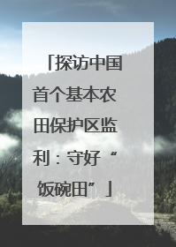 探访中国首个基本农田保护区监利：守好“饭碗田”