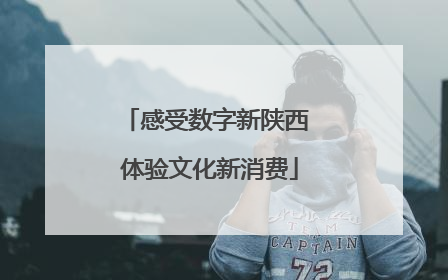 感受数字新陕西 体验文化新消费
