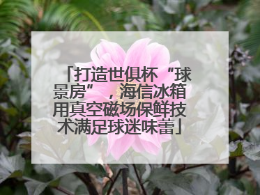 打造世俱杯“球景房”，海信冰箱用真空磁场保鲜技术满足球迷味蕾