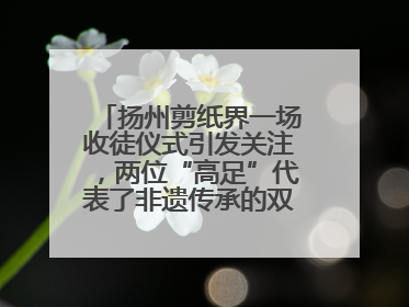 扬州剪纸界一场收徒仪式引发关注，两位“高足”代表了非遗传承的双轨力量